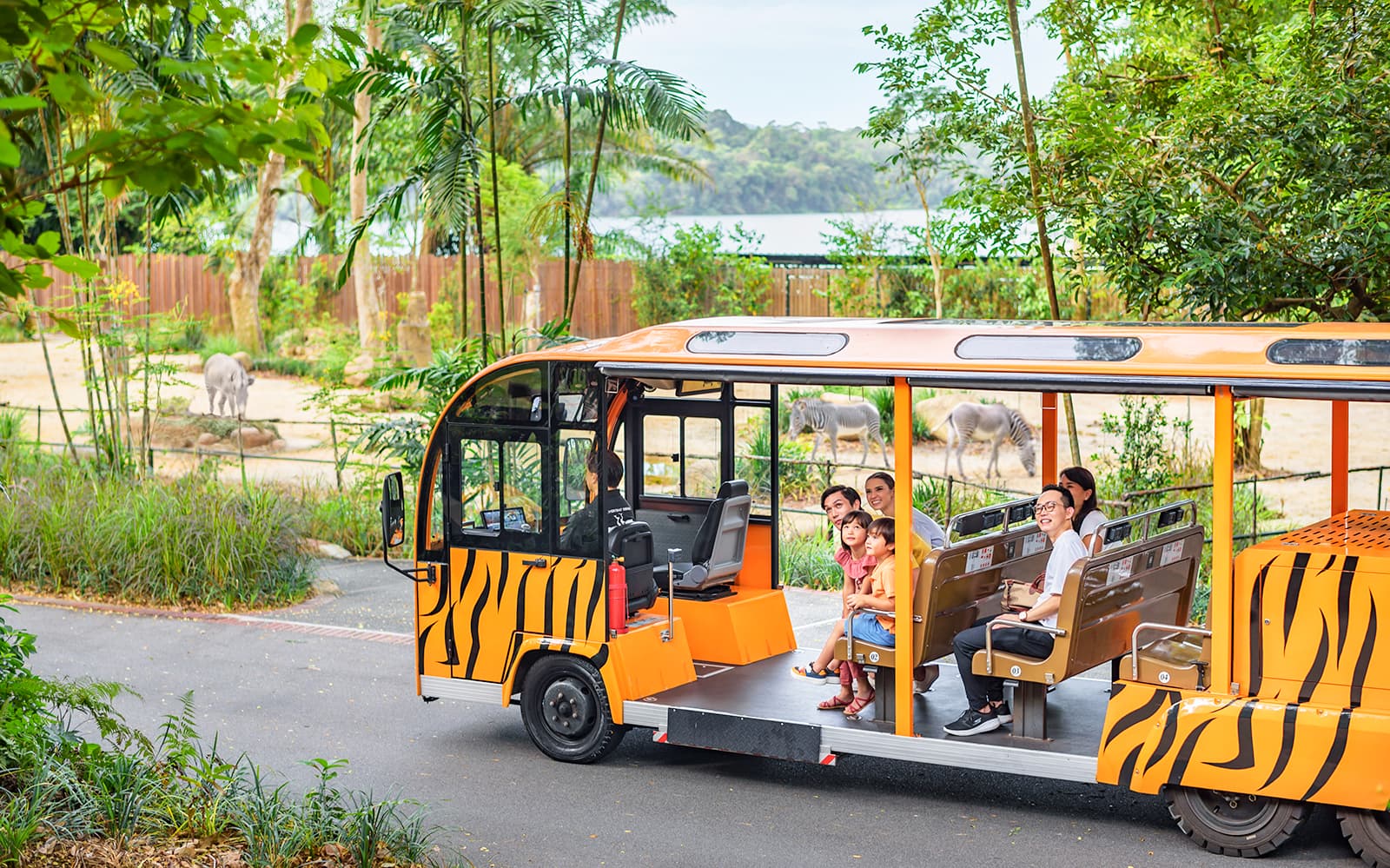 Experience Wildlife Magic: Singapore Zoo Travel Guide