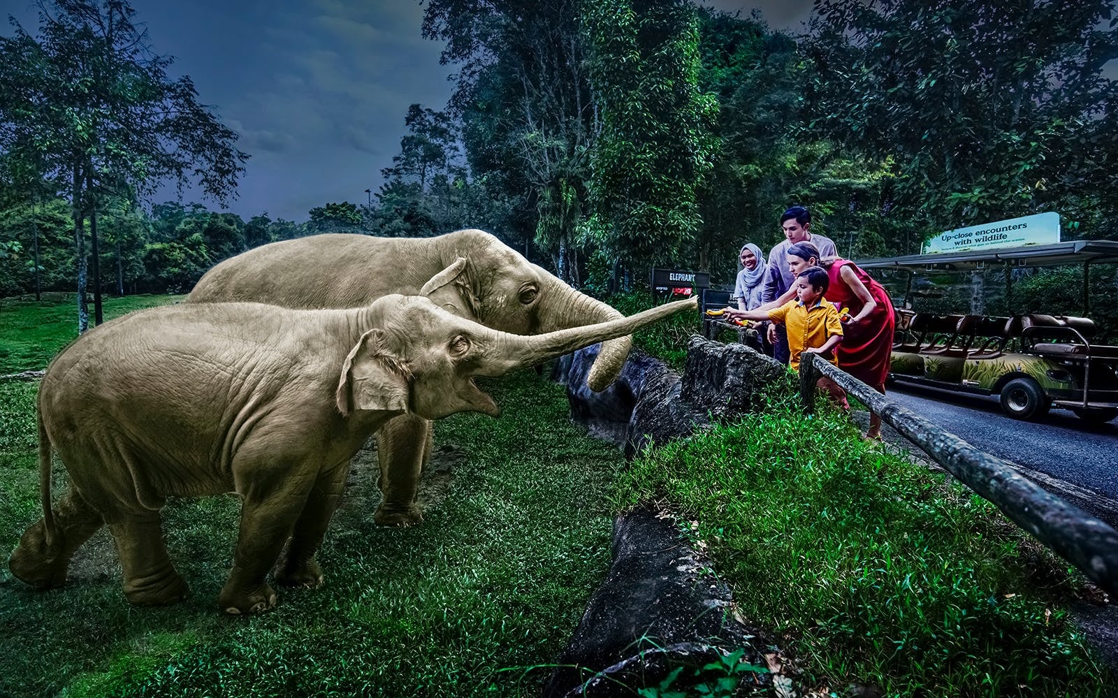 Night Safari Singapore