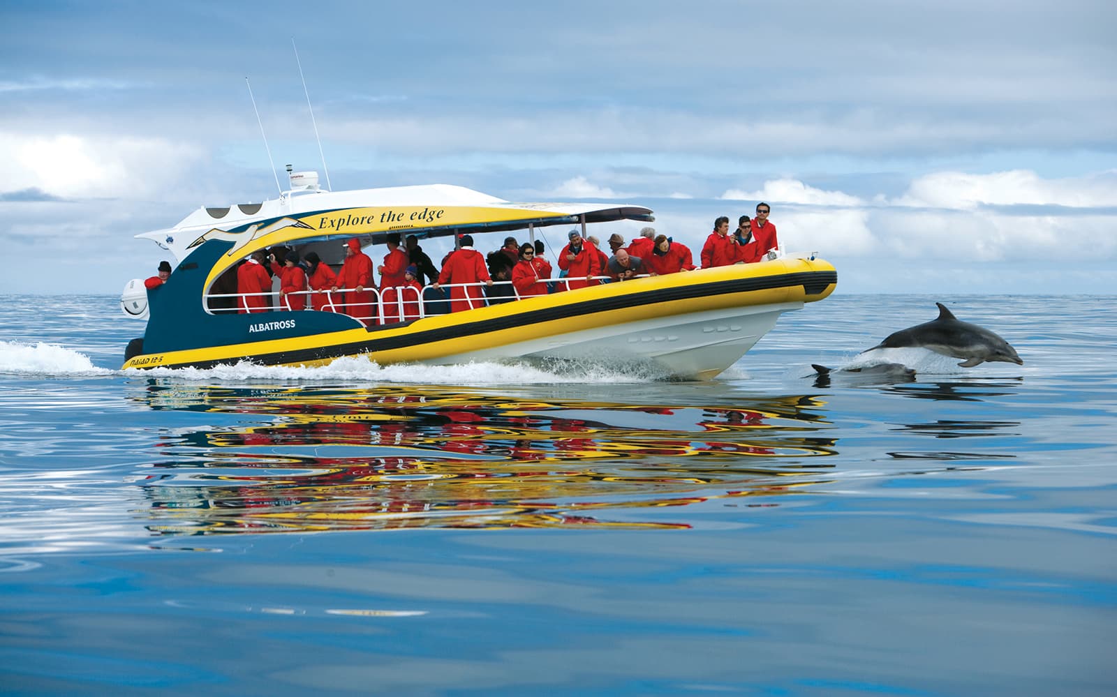 Best Tasman Island Cruises: Explore Hobart's Wild Coast