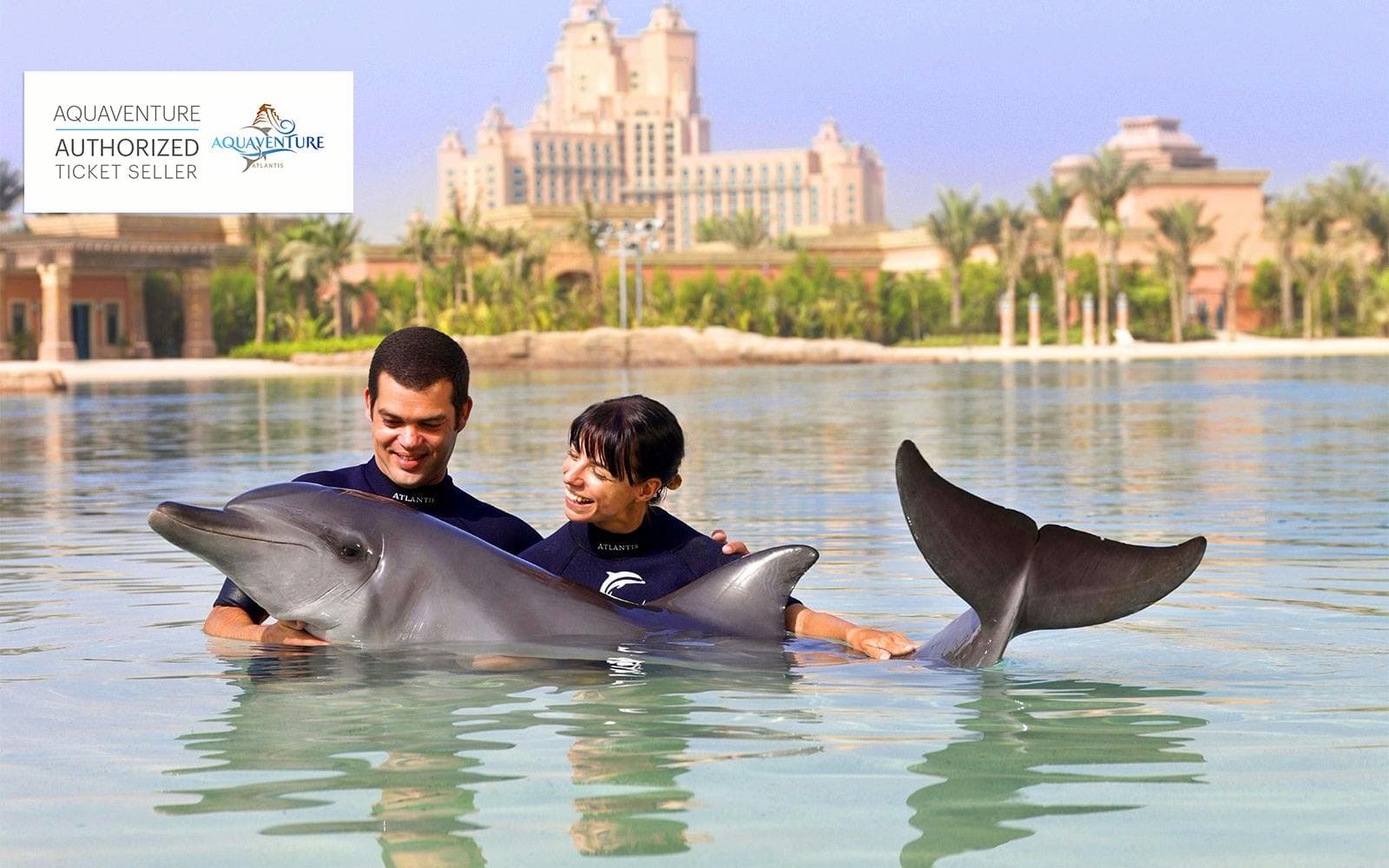 Book Atlantis Dolphin Encounter Tours