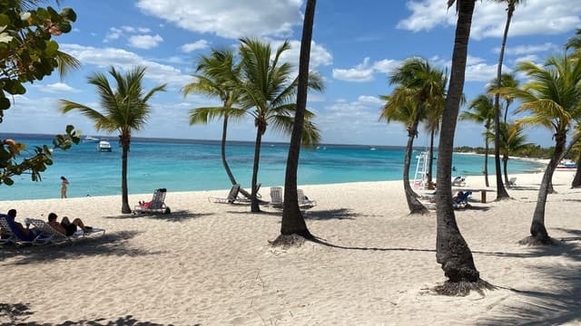 Catalina Island Snorkeling in La Romana: Reef Magic
