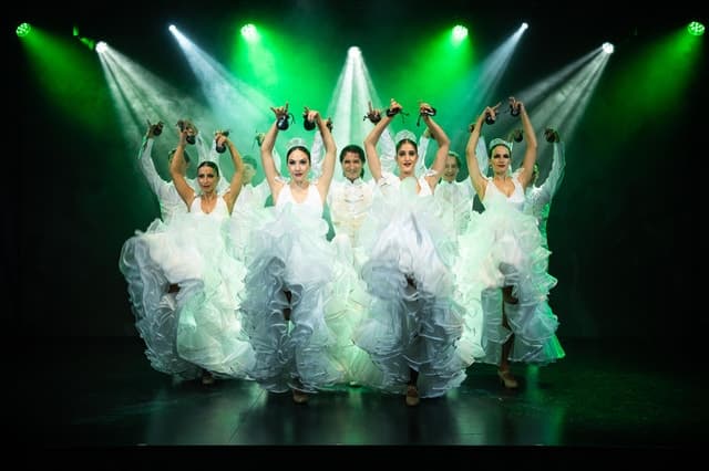 Authentic Olé Flamenco Show: Tenerife's Best Cultural Experience