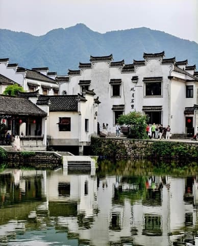 Authentic Dragon Well Tea Tours & Hangzhou Tea Culture