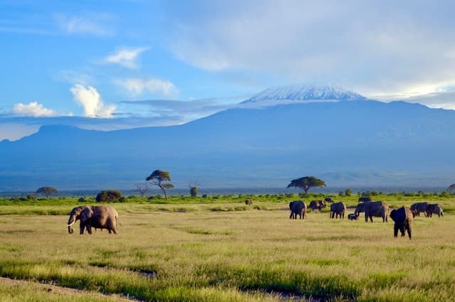 Amboseli National Park Day Trip