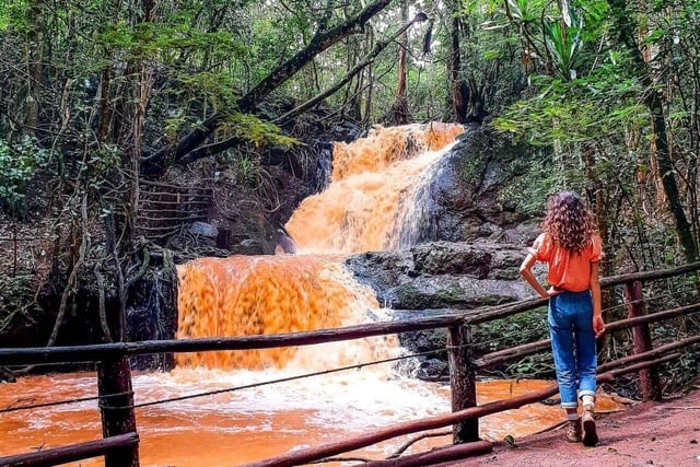 Karura Forest Walking Tour
