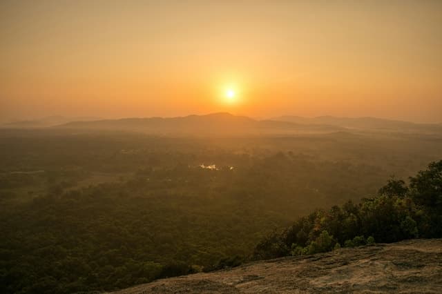 Minneriya Elephant Safari - Sigiriya