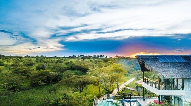 Great Migration Safari in Nairobi: Unforgettable Wildlife
