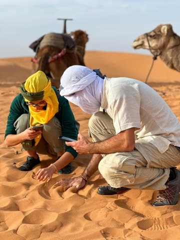 Top-Rated Ait Ben Haddou Excursions from Marrakech