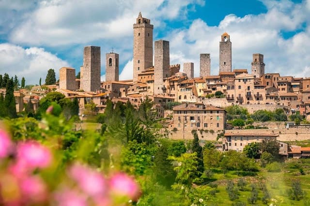 Top-Rated Chianti Wine Tours from Livorno