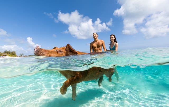 Best Rose Island Snorkeling Adventures in Nassau