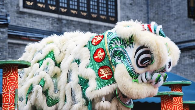 Authentic Foshan Martial Arts & Kung Fu Day Tour