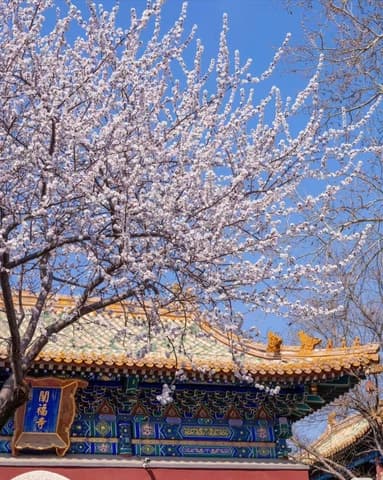Beihai Park