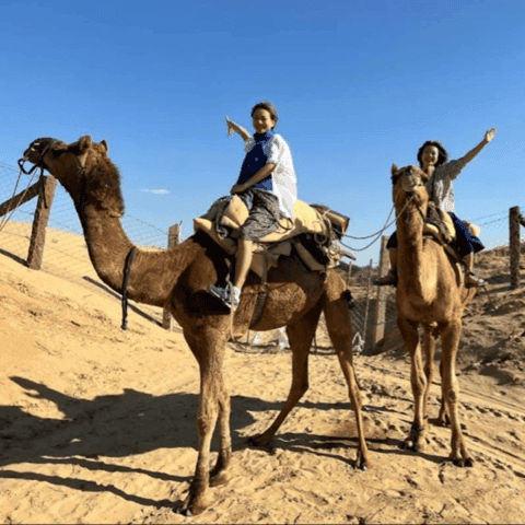 Ultimate Jodhpur Desert Jeep Safari & Thar Adventures
