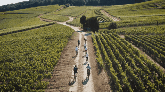 Champagne E-bike Tour