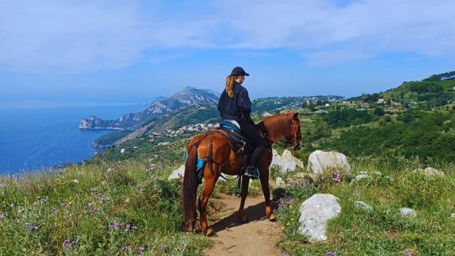 Top-Rated Sorrento Horseback Riding Tours