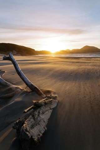 Unforgettable Auckland West Coast Adventures & Tours