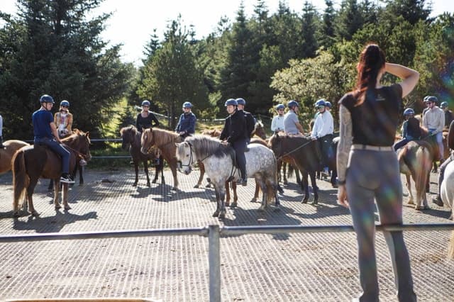 Best Reykjavik Horseback Riding Tours