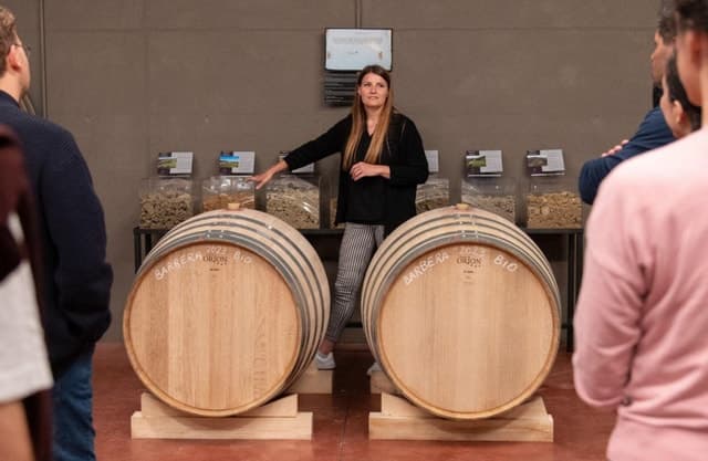 Authentic Wine Tasting Tours in Parma, Italy