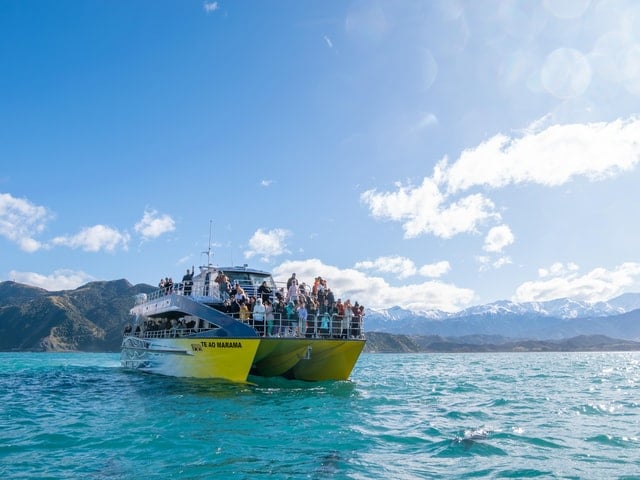 Kaikoura Whale Flight