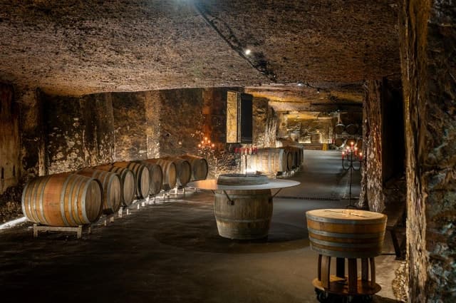 Chinon Wine Tasting