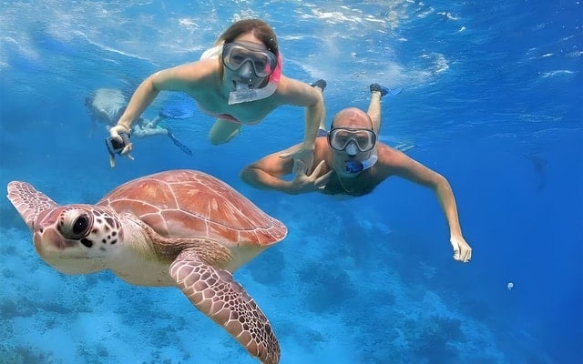 Hamata Islands Snorkeling