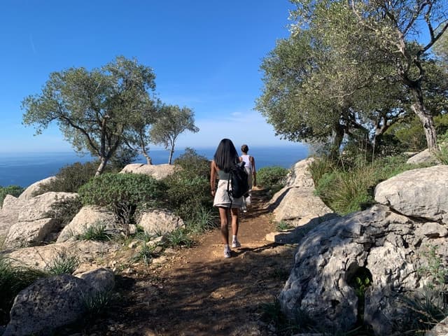Best Valldemossa & Sóller Mallorca Day Trip from Port