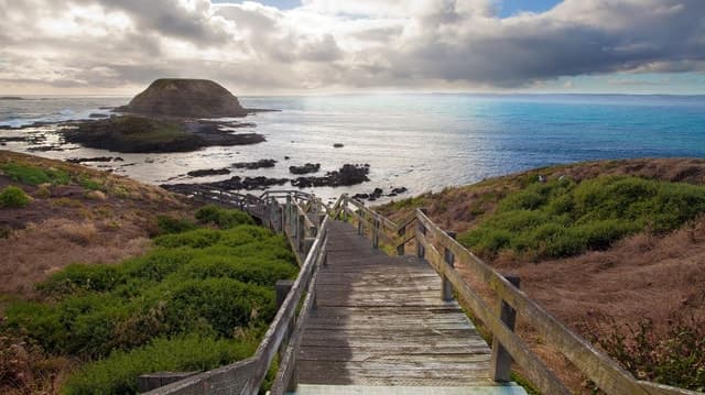 Phillip Island Tour