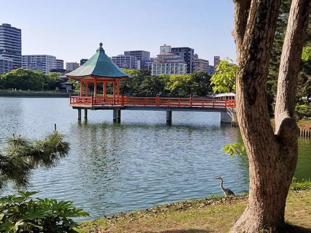 Beppu Onsen, Kyushu Travel Guide & Top Experiences