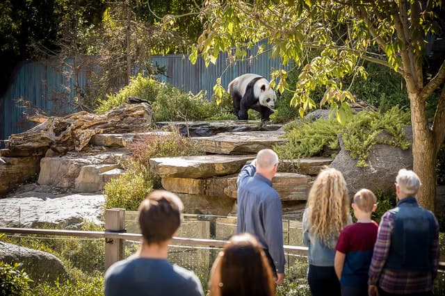 Best Adelaide Zoo Tours & Experiences