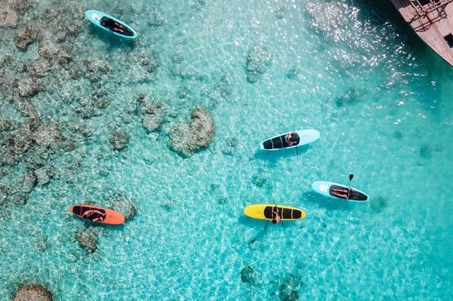 Best Rated Paddleboard Adventures on Gili T
