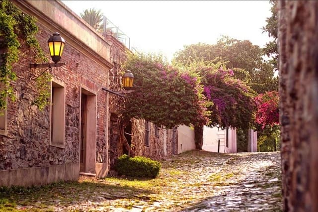 Montevideo to Colonia: Day Trip & UNESCO Charm