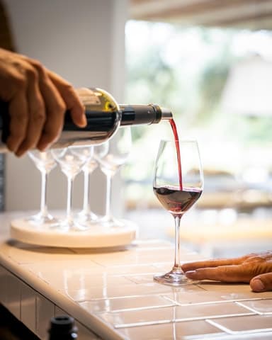 Explore Wine Tours in Narbonne