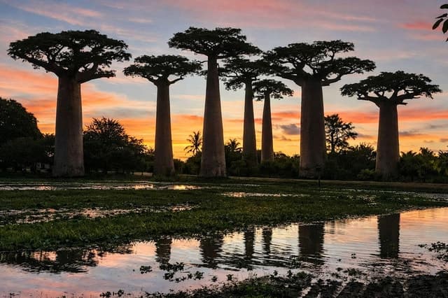 Compare Top Tours in Antananarivo, Madagascar