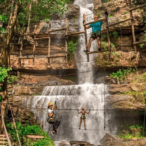 Compare Top Parque Xplorer Tours