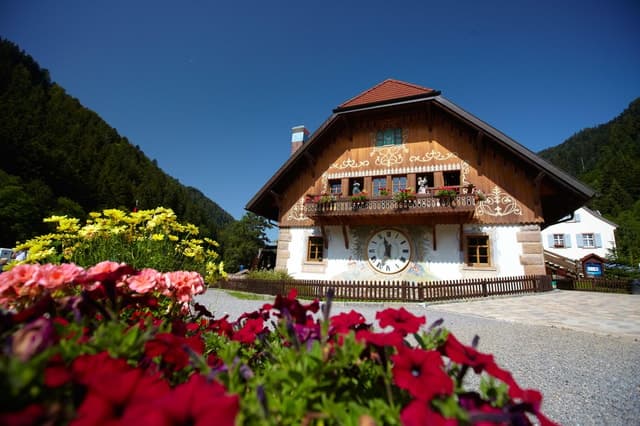 Black Forest Day Trip from Basel: Scenic Escape