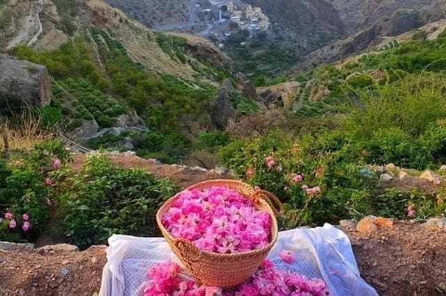 Oman Private Tour