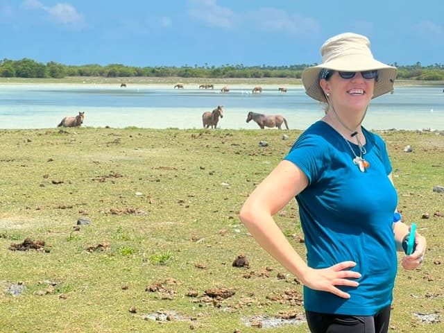 Compare Tours: Delft & Nainativu Islands