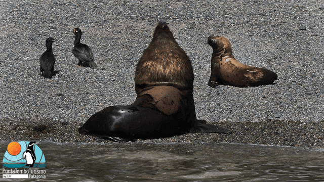 Explore Punta Loma Wildlife & Coastal Tours