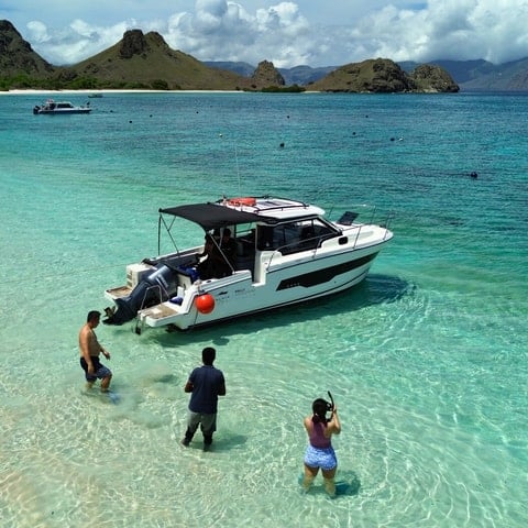 Komodo Island Tour: Wild Encounters