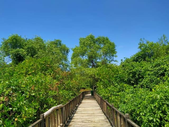Surabaya City Tour: Explore East Java