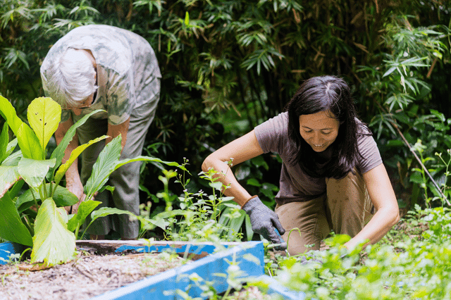 Explore the Best Spice Garden Experiences in Penang