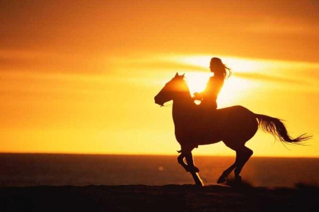Agadir Horse Riding