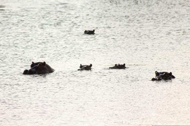 Naivasha Hell’s Gate Safari: Walk, Explore, Remember