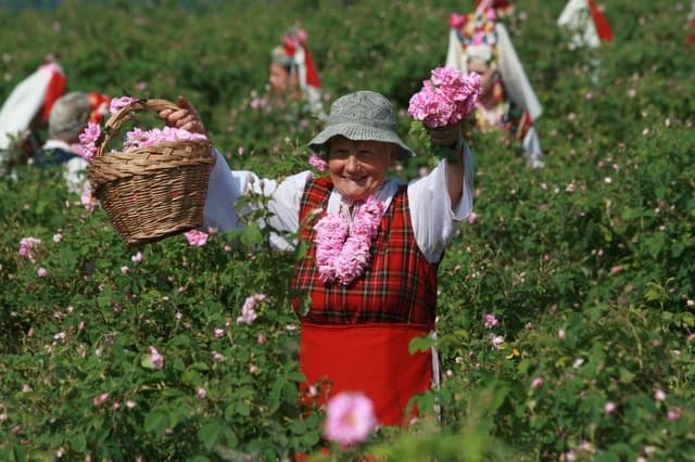 Kazanluk Rose Valley Tour