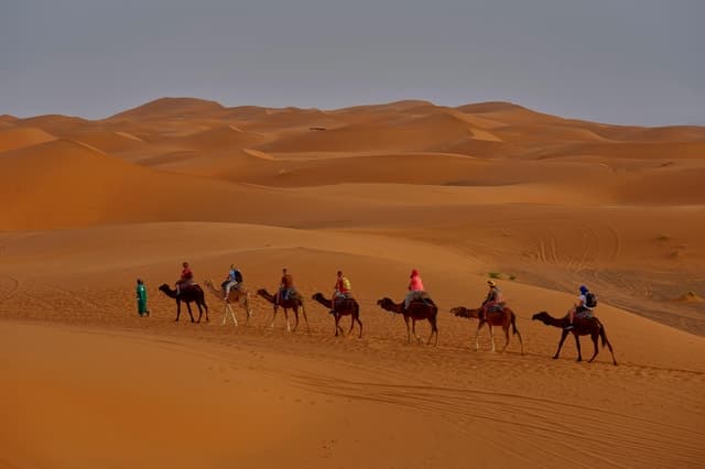 Fez to Marrakech Desert Tour
