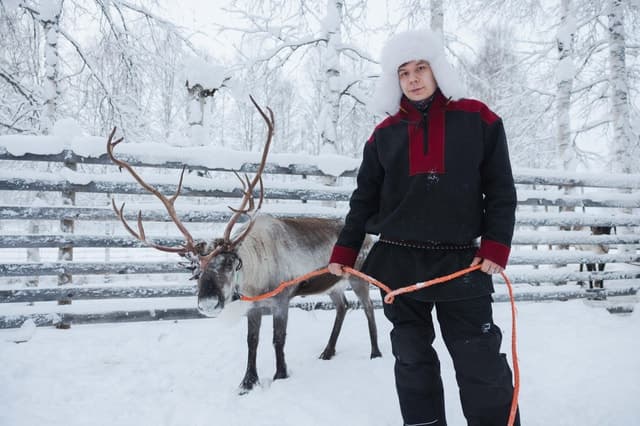 Best Husky Sledding Tours in Rovaniemi, Finland