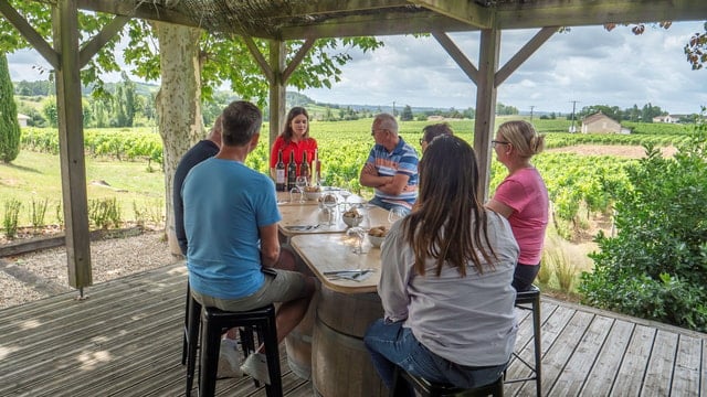 Saint-Emilion Wine Tour