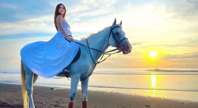 Compare Top Bali Horse Riding Tours in Ubud