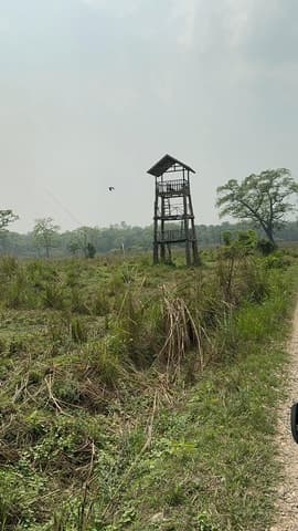 Chitwan Safari Adventure