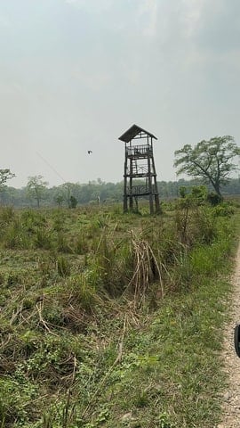 Chitwan Safari Adventure